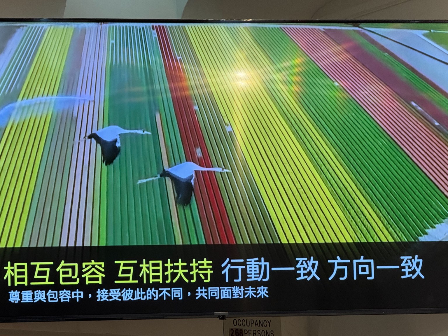 只是默默的給予