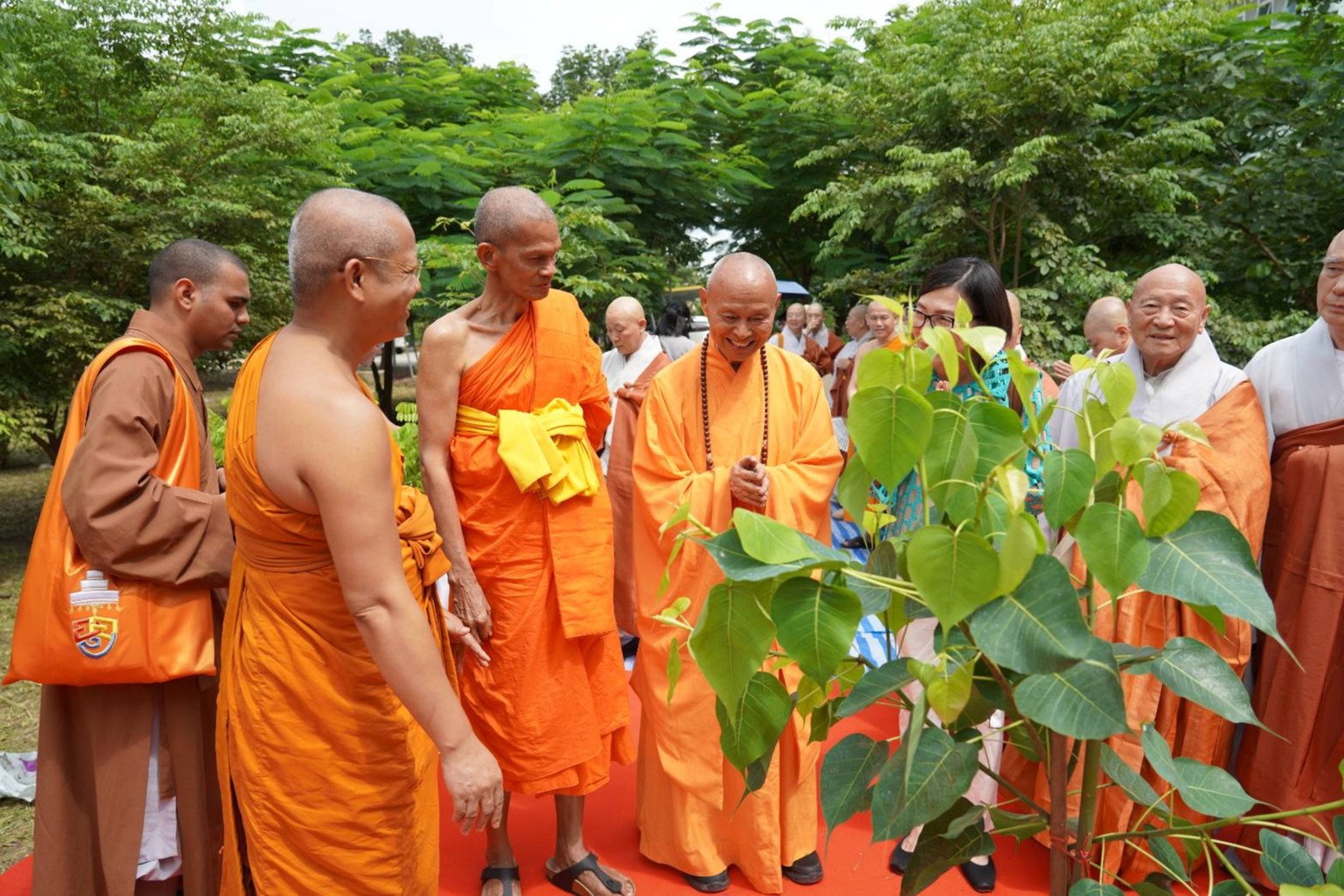 美國西來大學與泰國摩訶朱拉隆功大學簽訂教育合作備忘錄典禮，於摩訶朱拉隆功大學校園種植菩提樹，以為見證，中為佛光山泰華寺住持心定和尚，左三為摩訶朱拉隆功大學校長Most Venerable Professor Dr. Phra Brahmawatcharatheeracharn，右三為西來大學謝明華校長。