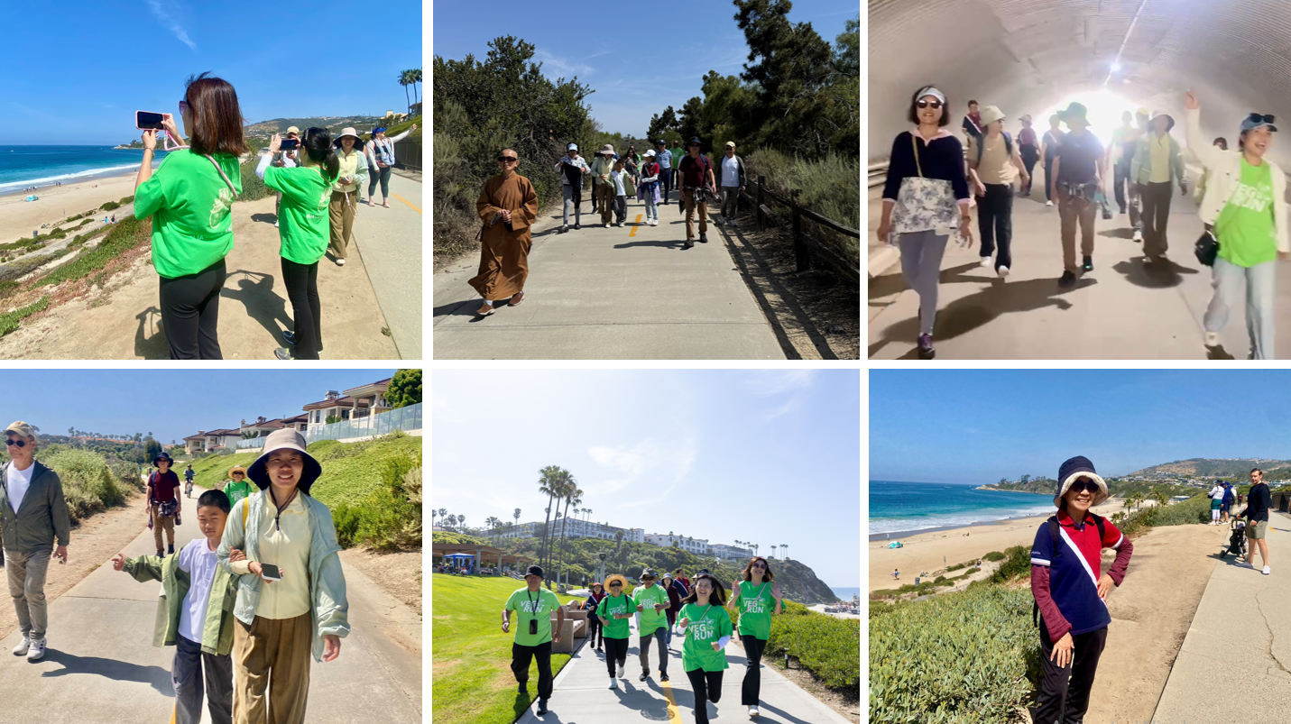 海風徐來，山海相映。綠色身影映於海岸，引來遊客駐足，會員隨緣分享蔬食護生、減碳愛地之理念，使大師所倡「以慈悲對待眾生，以智慧守護地球」之精神，於人群之中自然流轉。