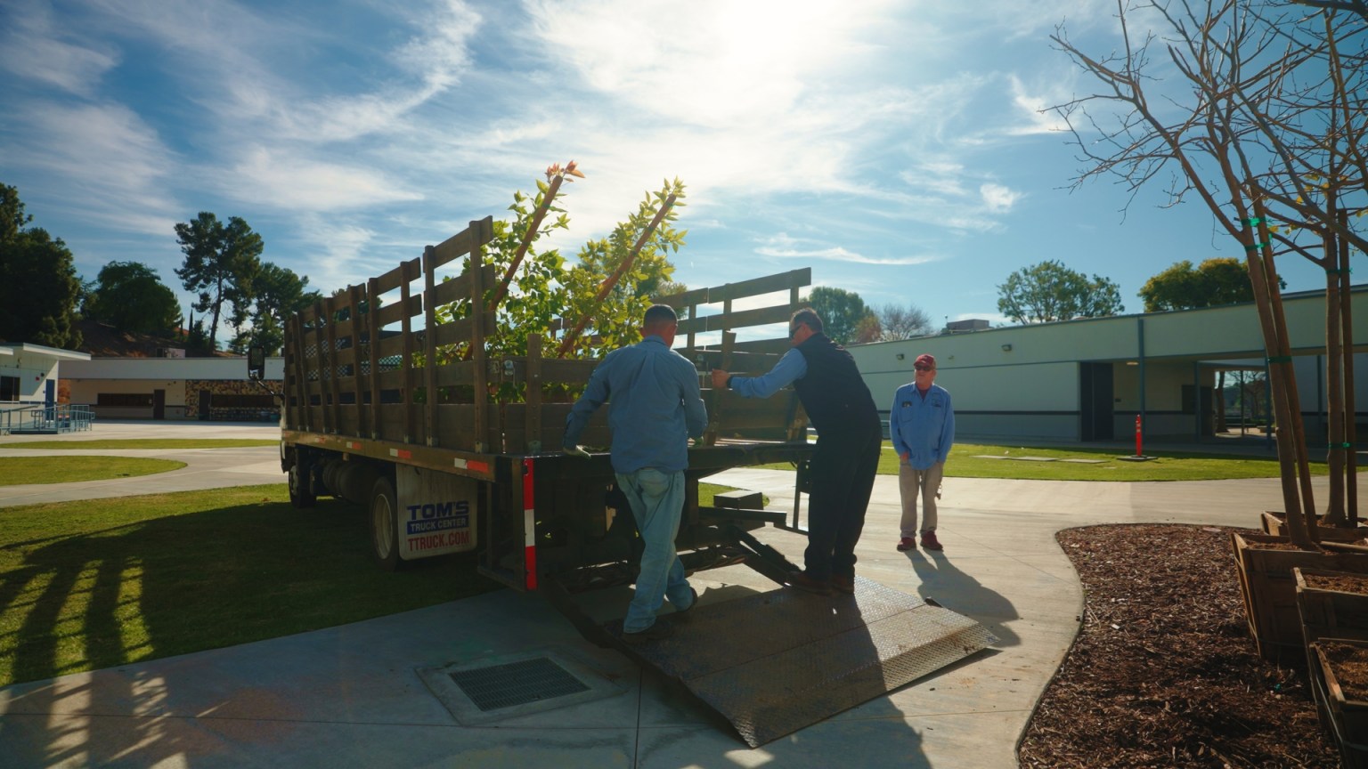 Upon arriving at the first stop, Collegewood Elementary School, volunteers unload four Fruitless Mulberry trees from the truck.