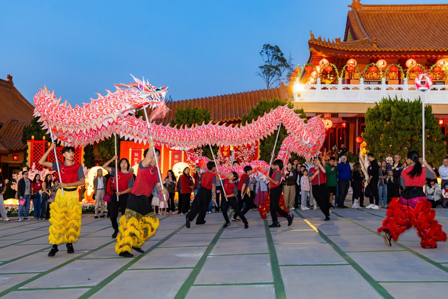 A vibrant dragon dance fills the celebration with the festive spirit of the Lunar New Year.