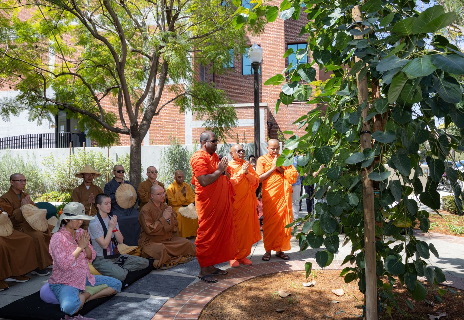 Venerable Piyananda Walpola and Theravāda monastics chant prayers and offer blessings beneath the Bodhi tree.