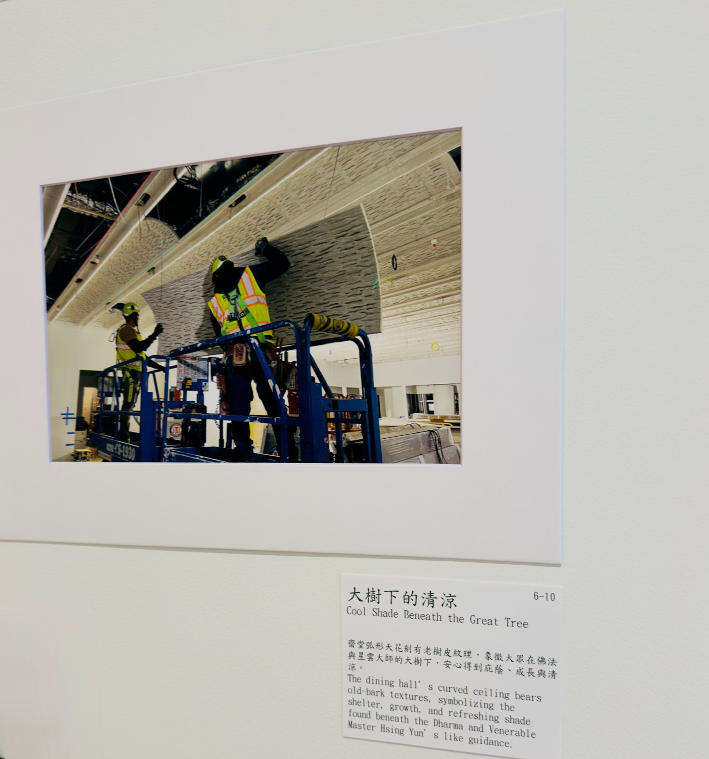 3---IMG_1824